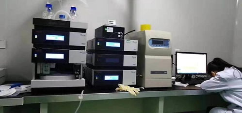 罗湖区工具外校机构提高实验室效率